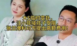 张兰最新爆料接孩子视频,温馨接娃瞬间曝光